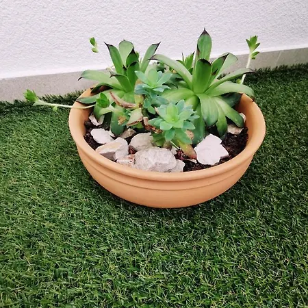 Apartman White 5 Split