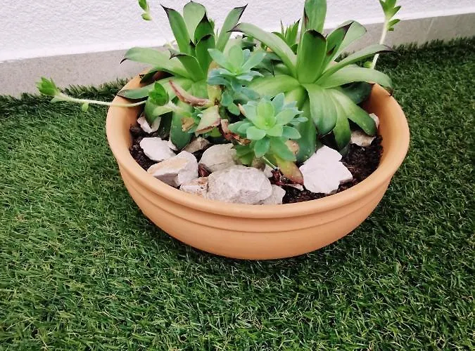 Apartamento White 5 Split
